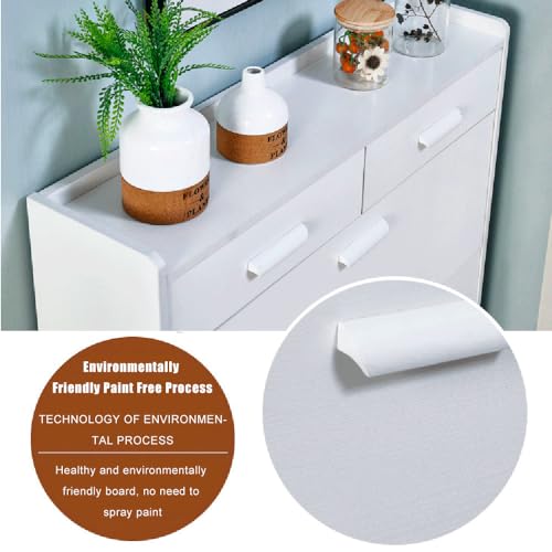 4-Tier Wall-Mounted Foldable Shoe Rack