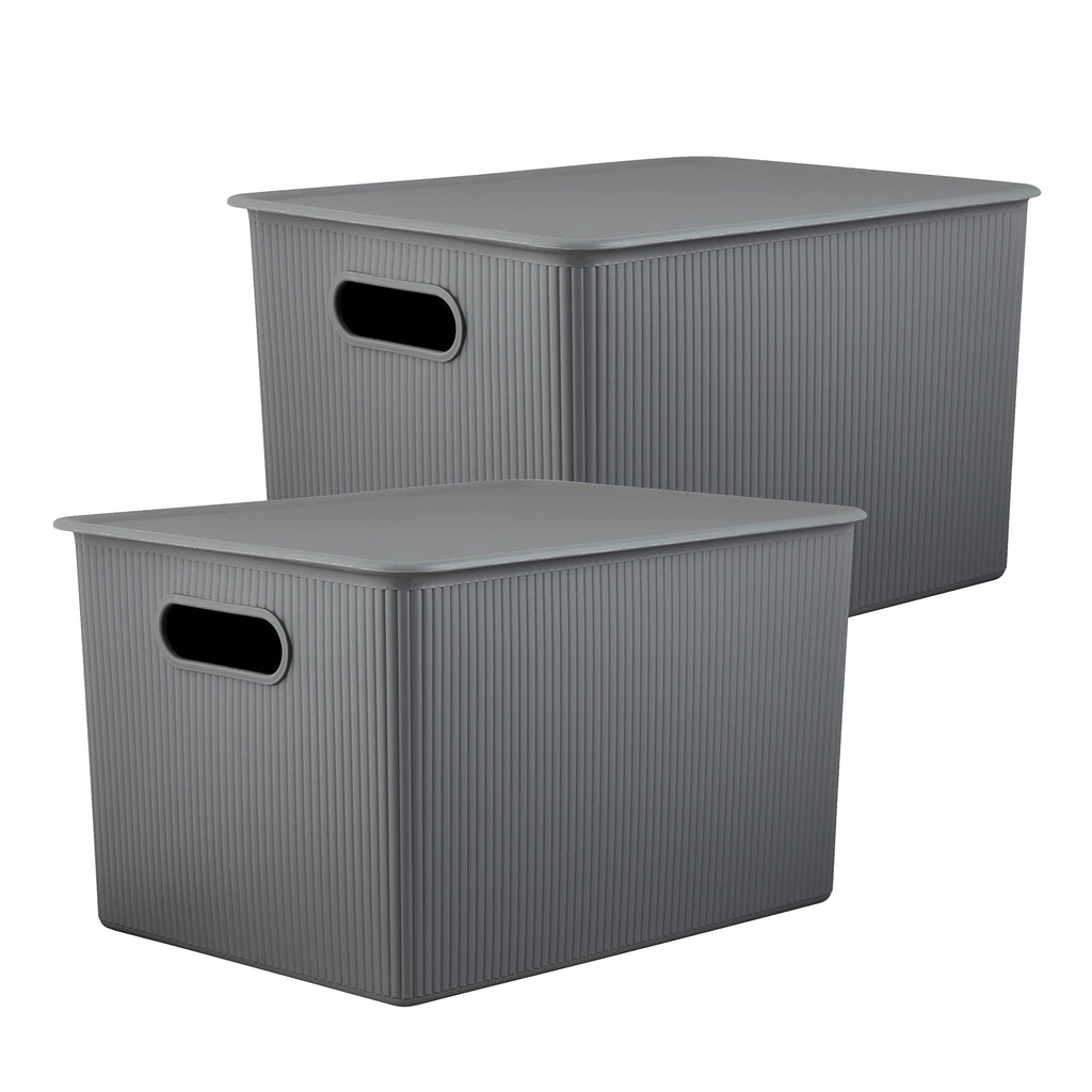 2-Pack 22L Stackable Storage Bins with Lids