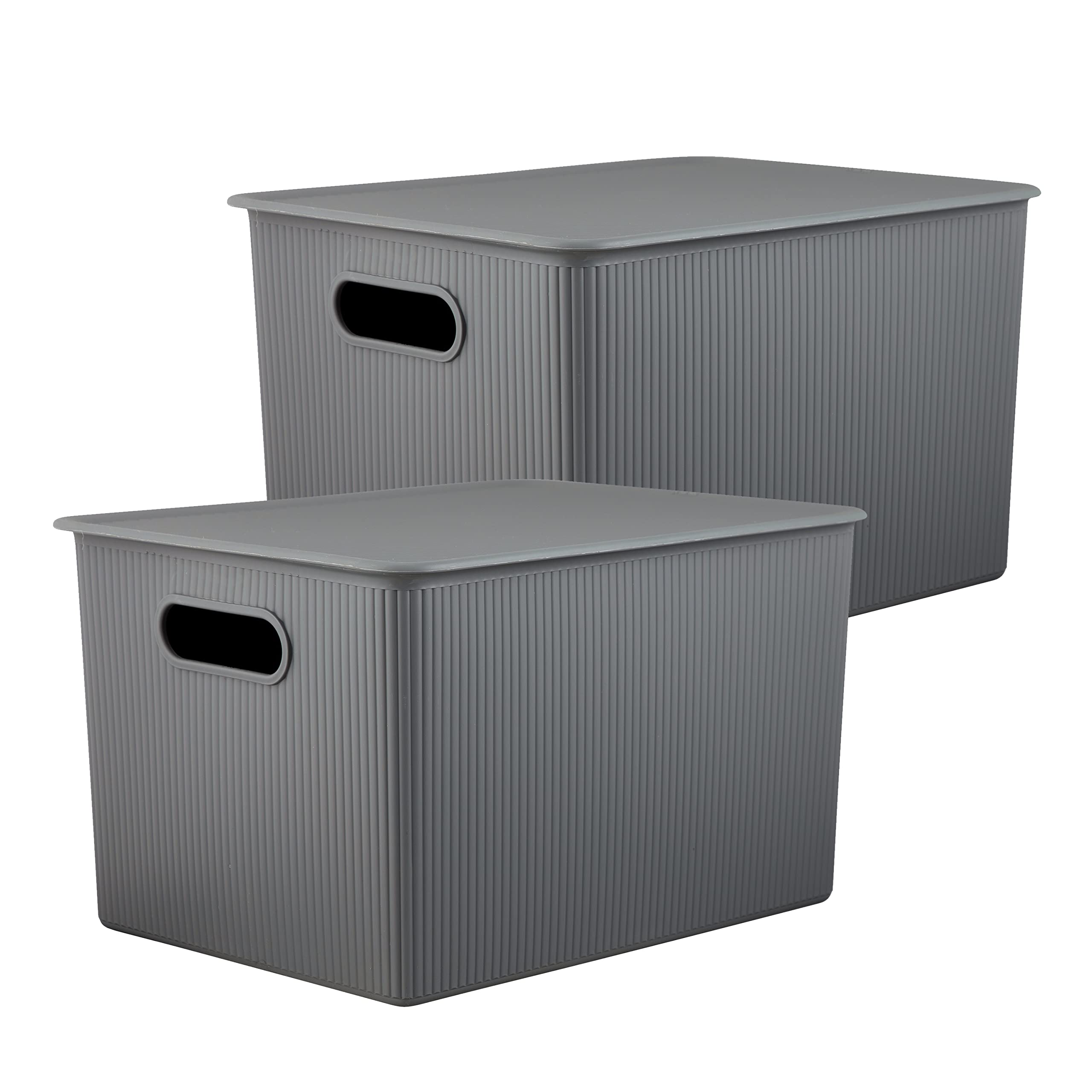 2-Pack 22L Stackable Storage Bins with Lids