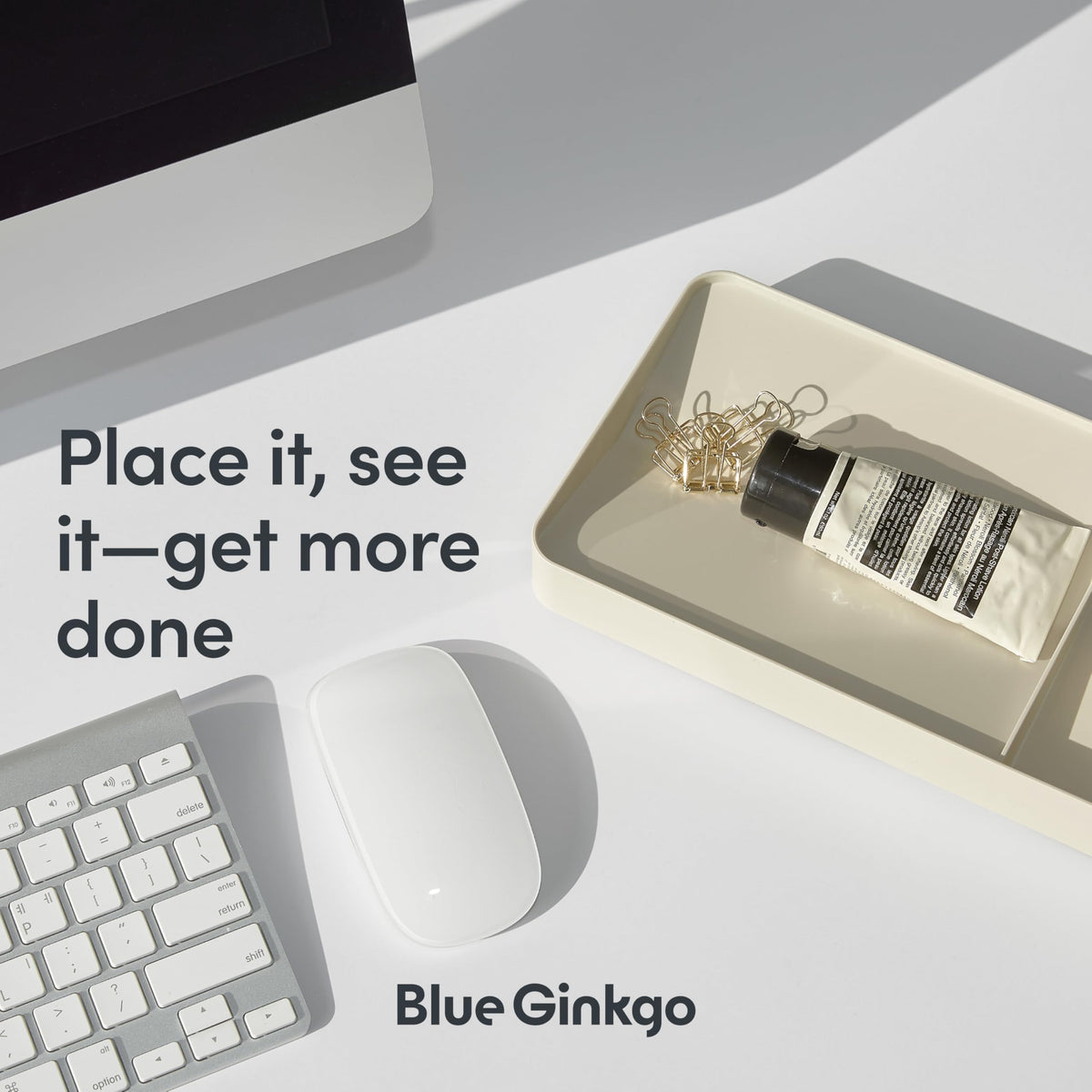 BLUE GINKGO Desktop Organizer